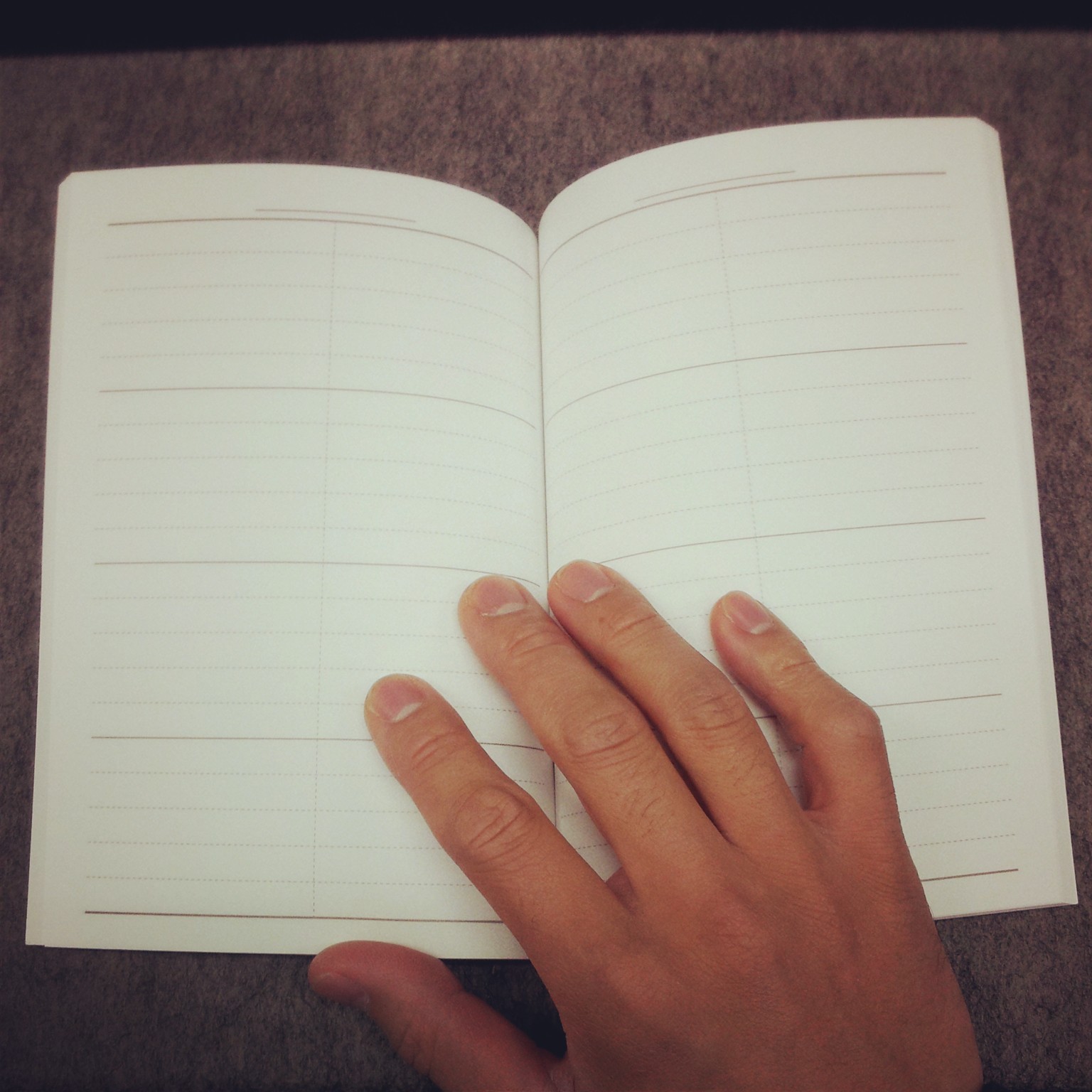 2014Diary2.jpg