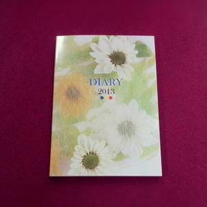 2013DIARY.jpg